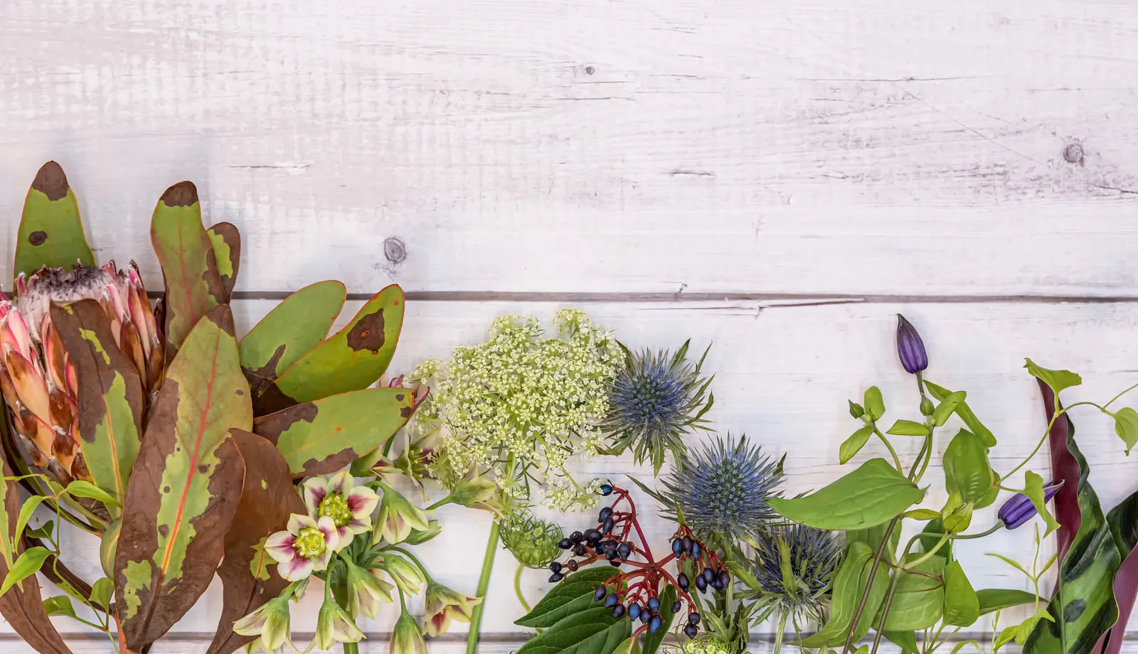 淡い色の花を束ねたナチュラルなブーケ
