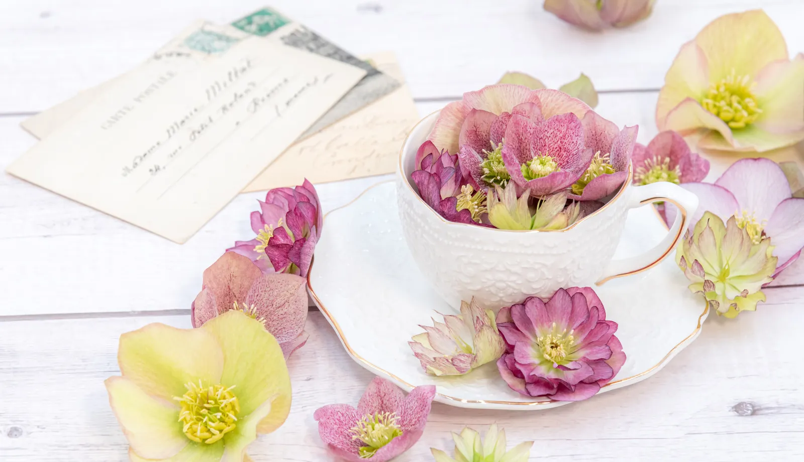 季節の花とグリーンを合わせた上品なアレンジメント